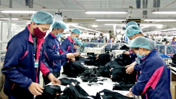 Công đoàn theo dõi sát tình hình sản xuất, kinh doanh, việc làm, tiền lương tại các doanh nghiệp