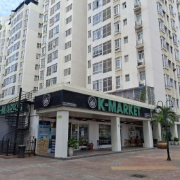 TP. Hồ Chí Minh: Tháo gỡ vướng mắc, xử lý 838 dự án và khu đất tồn đọng