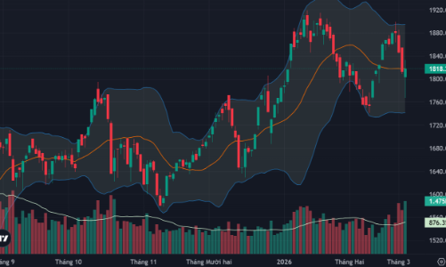 Cầu bắt đáy ấn tượng, cổ phiếu blue-chips dẫn nhịp hồi, thanh khoản có kỷ lục mới