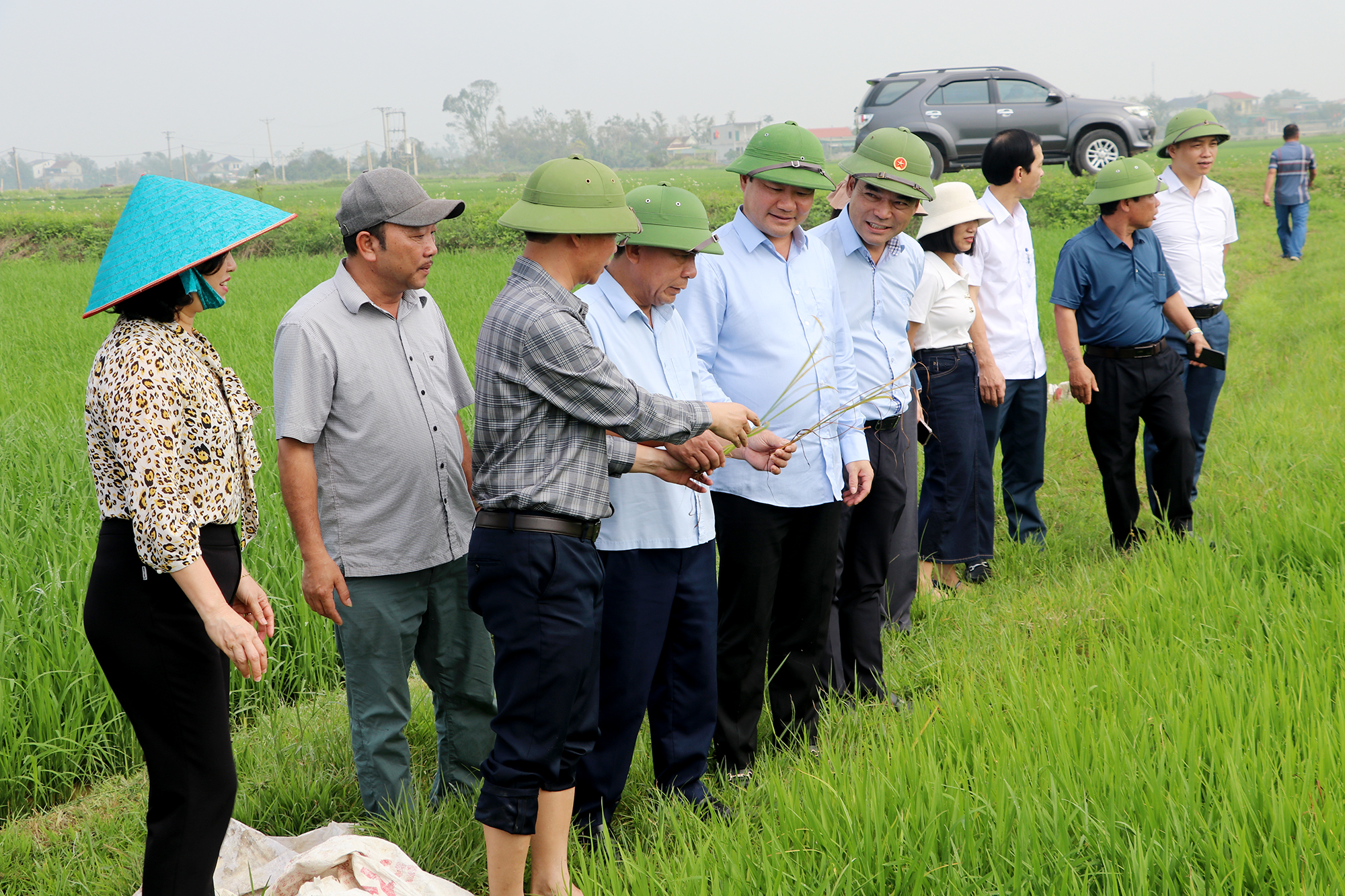 Phó Chủ tịch UBND tỉnh Nghệ An Nguyễn Văn Đệ kiểm tra, chỉ đạo sản xuất nông nghiệp vụ Xuân tại một số địa phương