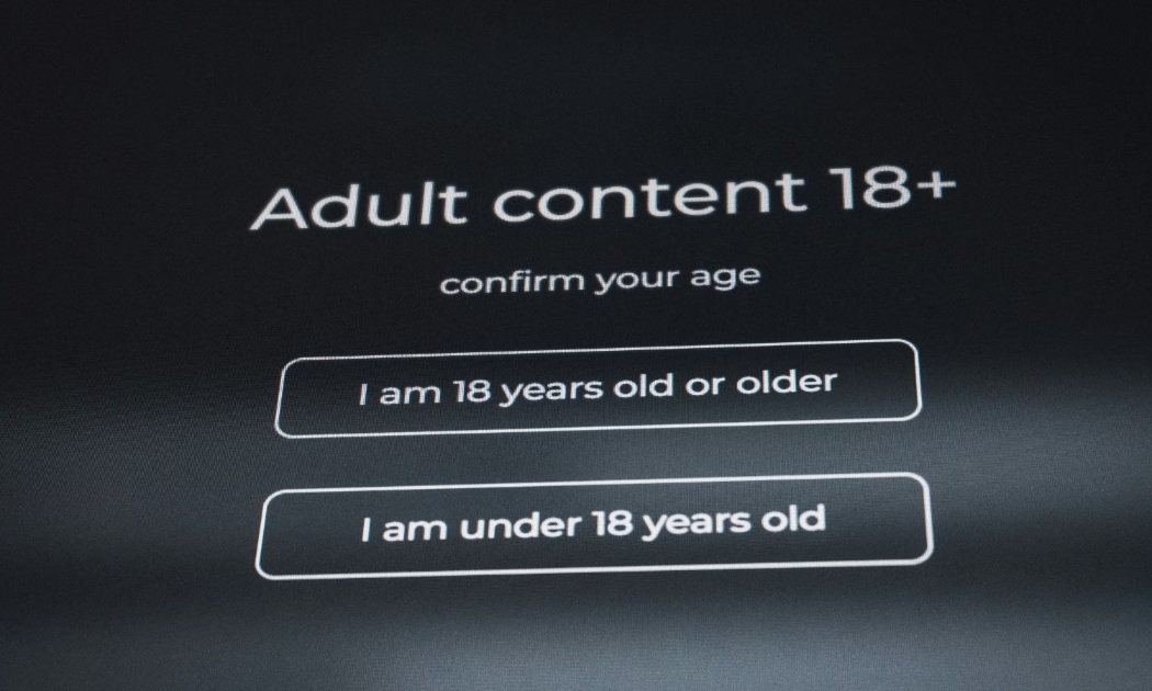 Hàng trăm nhà nghiên cứu từ 29 quốc gia kêu gọi tạm dừng xác minh tuổi trực tuyến