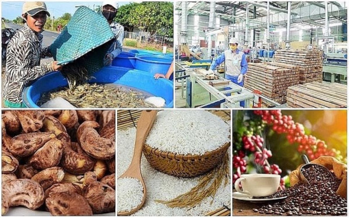 Xuất khẩu nông sản vẫn tăng trưởng mạnh mẽ