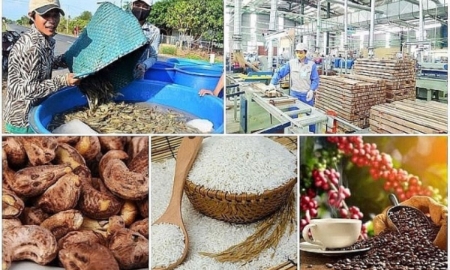 Xuất khẩu nông sản vẫn tăng trưởng mạnh mẽ