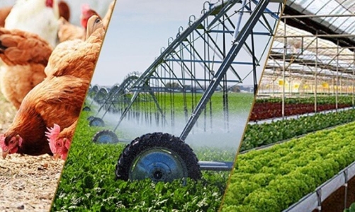 Chăn nuôi và nuôi trồng thủy sản duy trì đà tăng trưởng trong 2 tháng đầu năm 2026