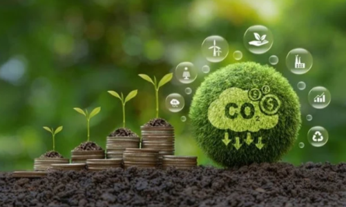 Việt Nam thúc đẩy hợp tác ASEAN trong triển khai hành động carbon xanh dương