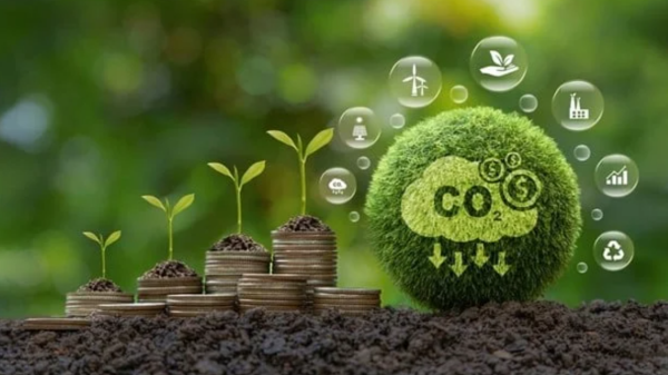 Việt Nam thúc đẩy hợp tác ASEAN trong triển khai hành động carbon xanh dương
