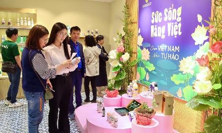Không gian trưng bày mở cửa liên tục từ ngày 7 đến 9/3/2026.