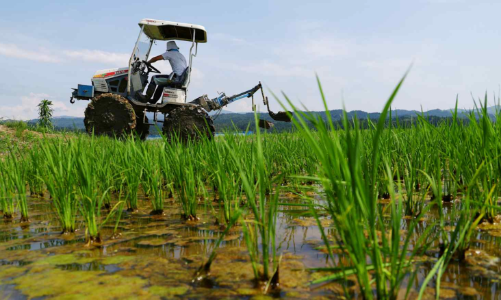 Giá phân bón thế giới tăng mạnh vì chiến sự Iran