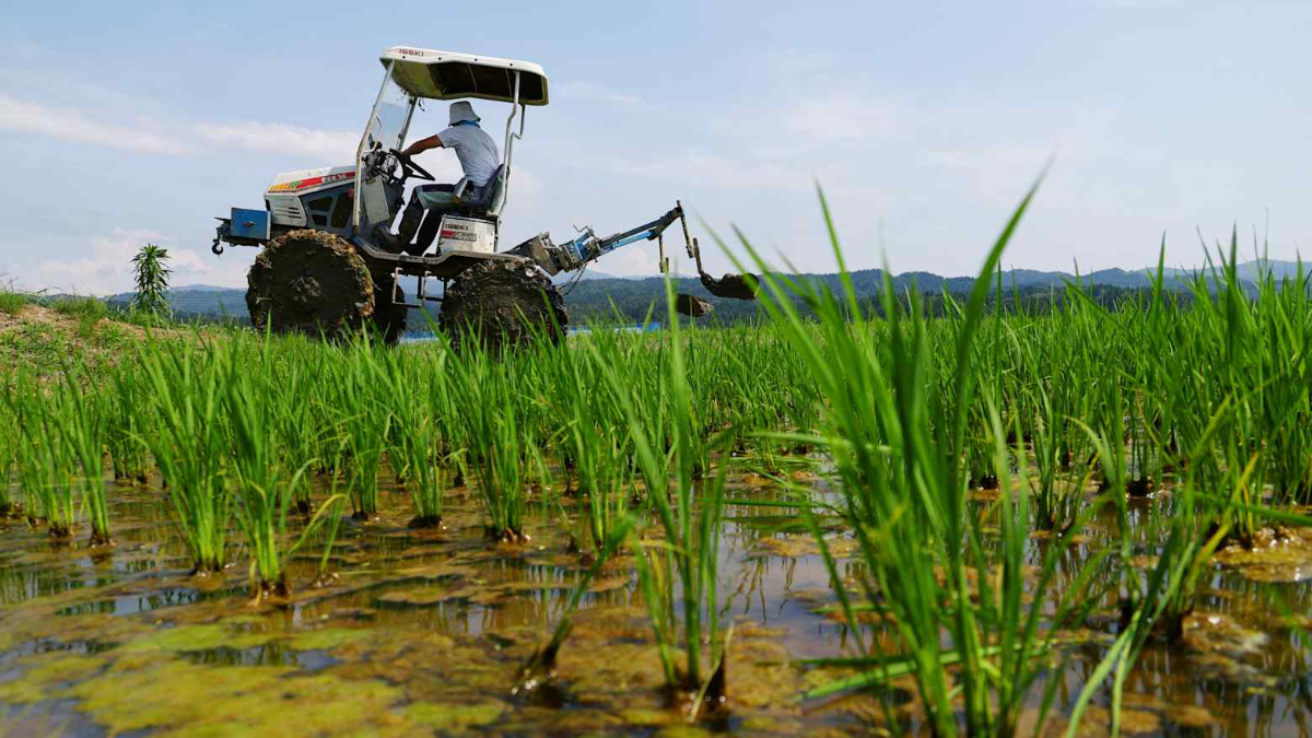 Ảnh minh họa - Ảnh: Reuters