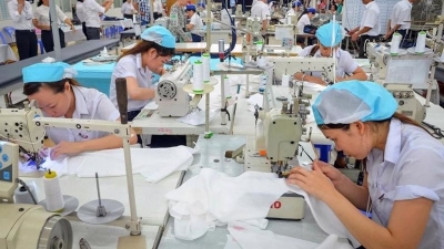 Nearly 35,500 enterprises established in 2M