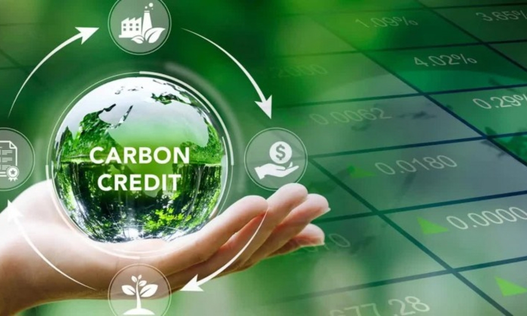 Khung pháp lý chung cho thị trường carbon ở Việt Nam đã tương đối đầy đủ để thị trường sẵn sàn vận hành. Ảnh minh họa