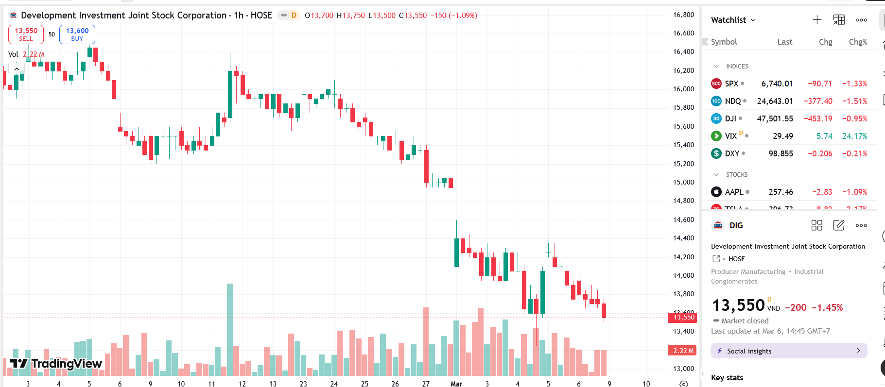 Gia đình Chủ tịch DIG vừa bị bán giải chấp gần 12 triệu cổ phiếu