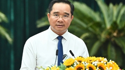 HCM City establishes Steering Committee on data