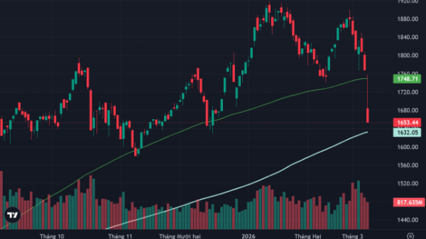 Cổ phiếu giảm sàn la liệt, dòng tiền bắt đáy vẫn rất thận trọng