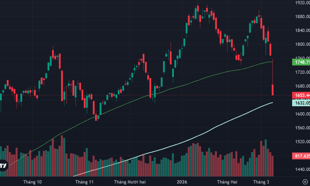 Cổ phiếu giảm sàn la liệt, dòng tiền bắt đáy vẫn rất thận trọng