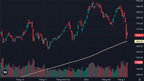 Cổ phiếu dầu khí lao dốc, tiền bắt đáy trụ vững trước áp lực cắt lỗ