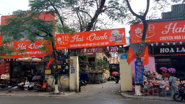 Hải Phòng: Nhà đất công sản cho thuê kinh doanh bị nợ tiền thuê lên tới hàng chục tỷ đồng