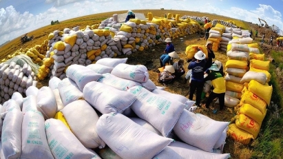 Vietnam's rice exports earn $599.3mln in 2M