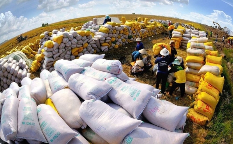 Vietnam's rice exports earn $599.3mln in 2M