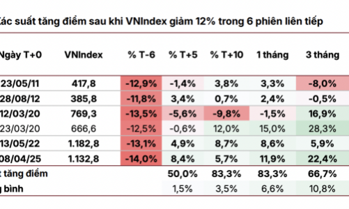 Lịch sử 15 năm cho thấy VN-Index thường bật tăng mạnh sau những phiên giảm sốc đột ngột