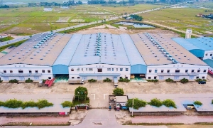 Nghệ An tháo gỡ vướng mắc trong quản lý, phát triển cụm công nghiệp