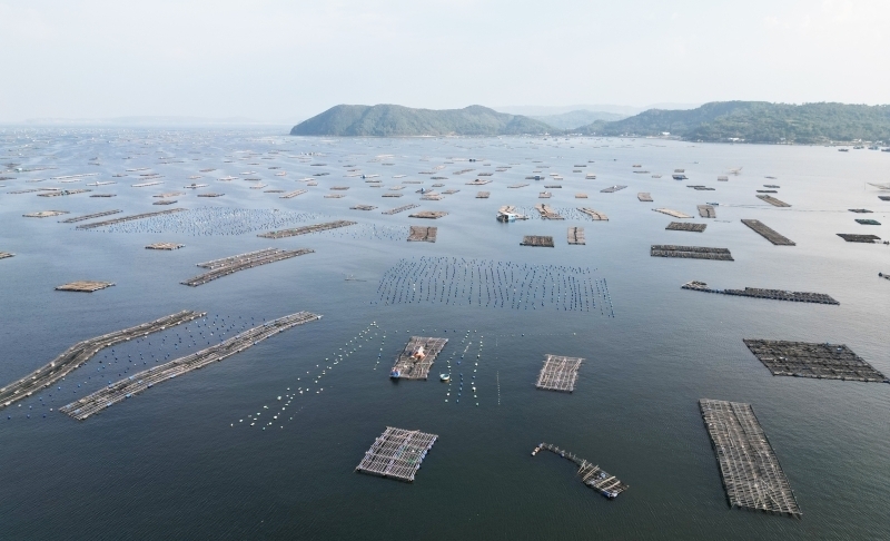 Hoàn thiện cơ chế quản lý và sử dụng không gian biển theo hướng thống nhất, minh bạch, gắn với Quy hoạch không gian biển quốc gia. Ảnh minh họa