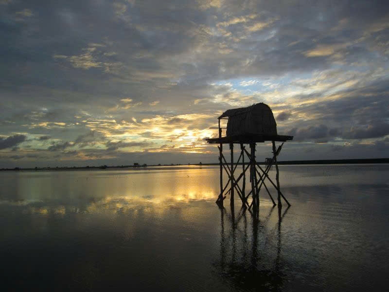 Cảnh hoàng hôn ở vườn (Ảnh Cổng thông tin VQG Giao Thủy)