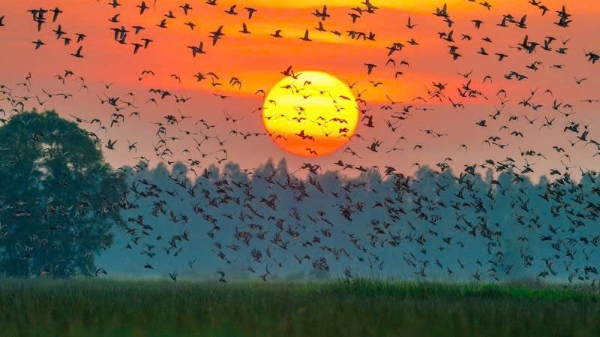 Ninh Bình: Đầu tư 464 tỷ đồng phát triển du lịch sinh thái tại Vườn quốc gia Xuân Thủy