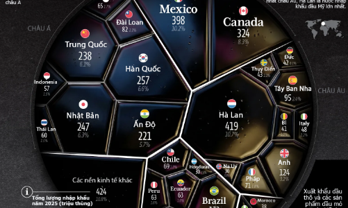 Những nền kinh tế nhập khẩu dầu Mỹ nhiều nhất năm 2025