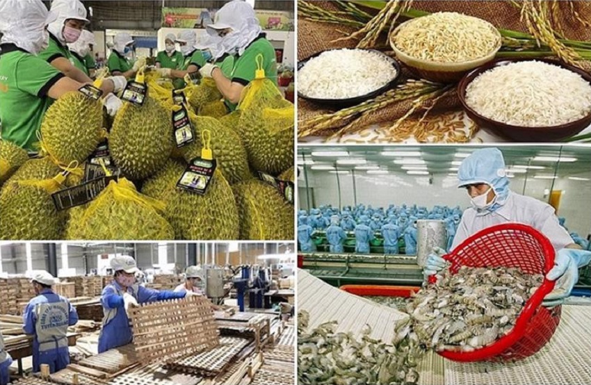 Trong bối cảnh tình hình thế giới tiếp tục diễn biến phức tạp, xuất khẩu nông lâm thủy sản của Việt Nam trong 2 tháng đầu năm 2026 vẫn tăng trưởng trên 17% so với cùng kỳ.