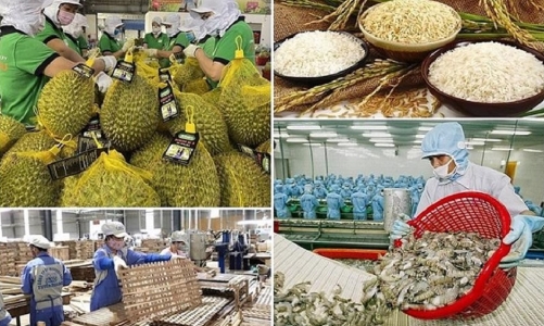 Vượt “sóng” biến động toàn cầu, xuất khẩu nông lâm thủy sản 2 tháng đầu năm tăng trên 17%