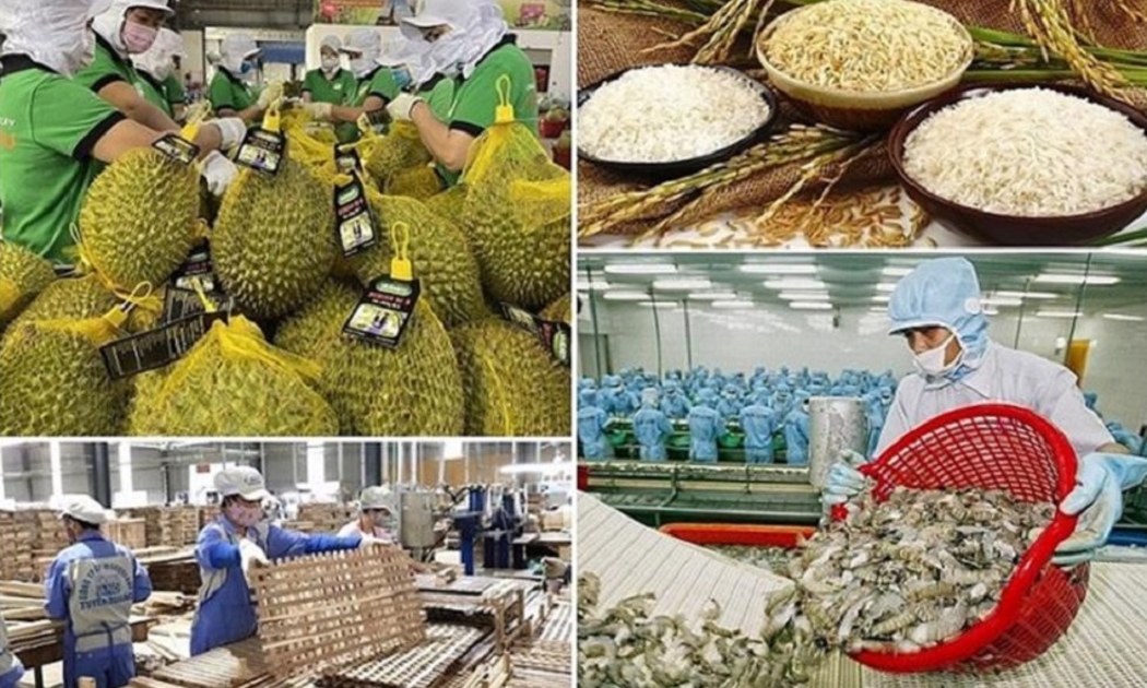 Trong bối cảnh tình hình thế giới tiếp tục diễn biến phức tạp, xuất khẩu nông lâm thủy sản của Việt Nam trong 2 tháng đầu năm 2026 vẫn tăng trưởng trên 17% so với cùng kỳ.