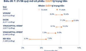 Các quỹ cổ phiếu quy mô lớn đẩy mạnh giải ngân, cổ phiếu nào được săn đón nhiều nhất? 