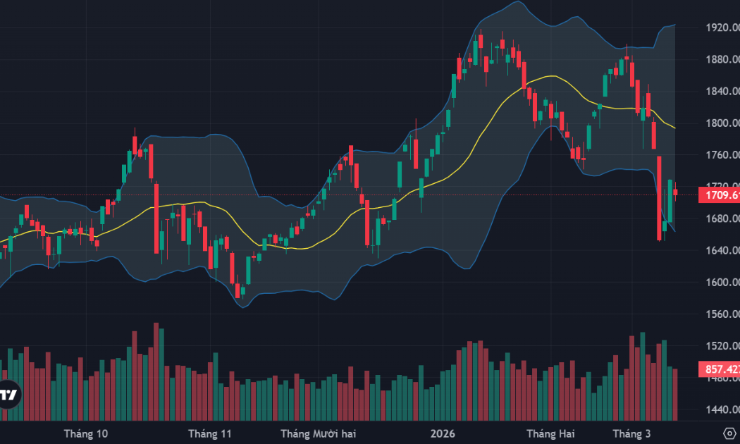 Cầu bắt đáy chống đỡ tốt, biên độ giảm không mở rộng