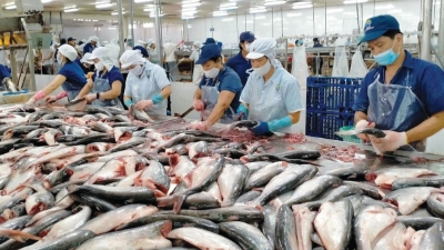 Vietnam's seafood exports up 20% in 2M