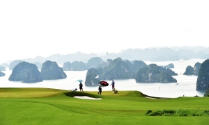 Nhận diện các 