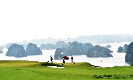 Nhận diện các
