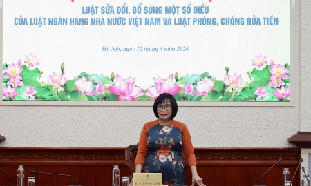 Thứ trưởng Bộ Tư pháp Đặng Hoàng Oanh
