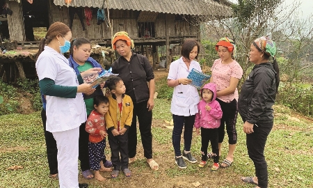 Ảnh minh họa