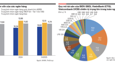 Vai trò dẫn dắt của định chế ngành ngân hàng khi triển khai Nghị quyết 79-NQ/TW