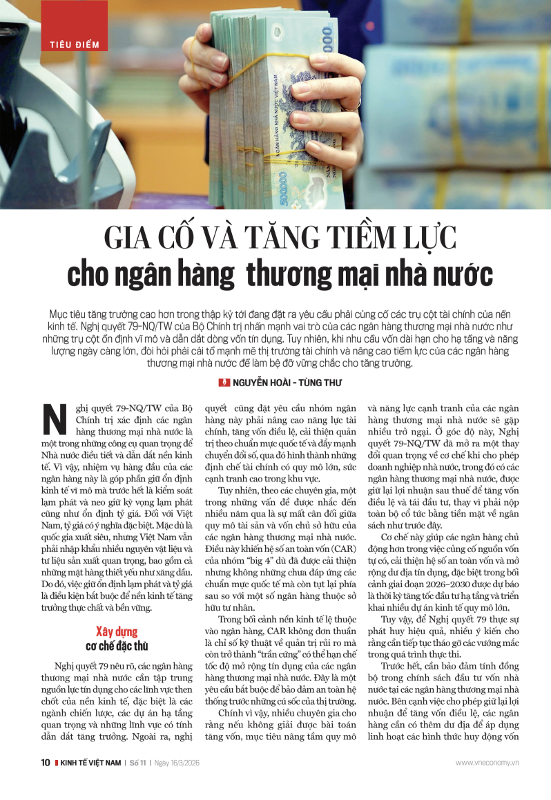 Gia cố và tăng tiềm lực cho ngân hàng thương mại nhà nước - Ảnh 2