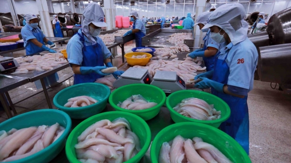 Xuất khẩu thủy sản sang Hoa Kỳ đối mặt “cú đúp” áp lực chi phí và rào cản kỹ thuật