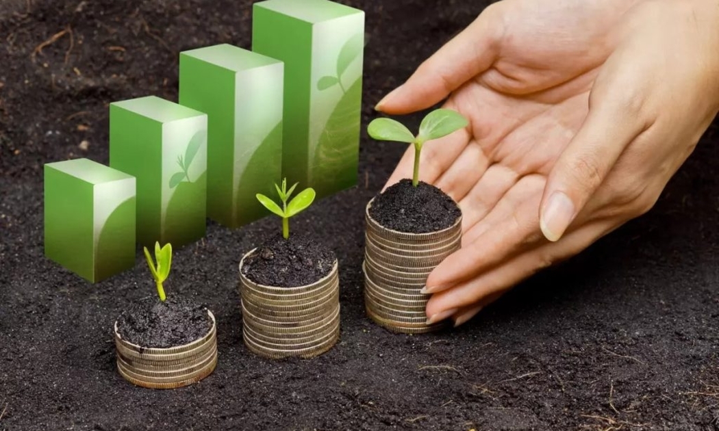 Đầu tư chuyển đổi xanh là khoản đầu tư cho tương lai