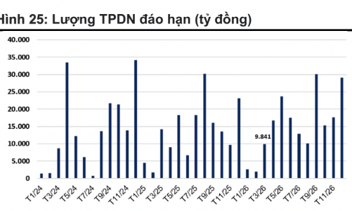Áp lực đáo hạn trái phiếu bắt đầu tăng trở lại, riêng tháng 3 gần 10.000 tỷ 