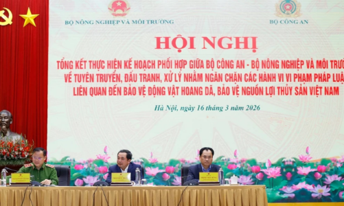 Tăng cường phối hợp bảo vệ động vật hoang dã và nguồn lợi thủy sản