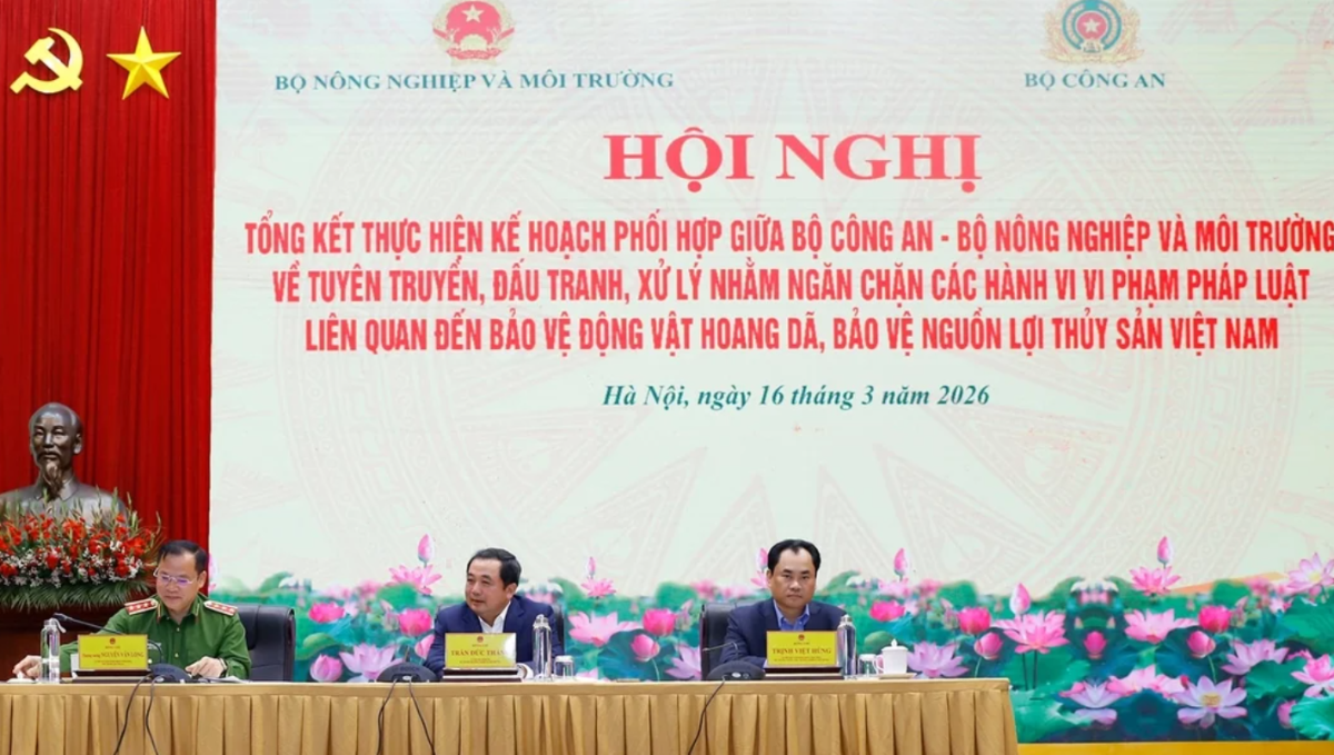 Quang cảnh hội nghị.