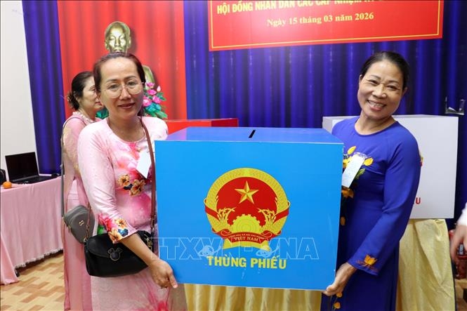 Các thành viên Tổ bầu cử số 27, phường Tam Thắng, TP.HCM tiến hành quy trình kiểm phiếu ngay sau khi kết thúc bầu cử, ngày 15/3/2026. Ảnh: TTXVN.