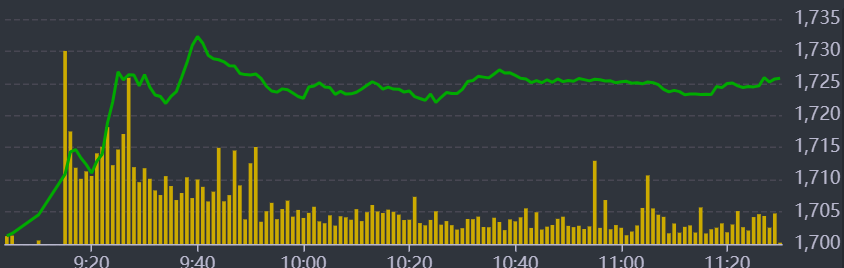 Diễn biến VN-Index sáng nay.
