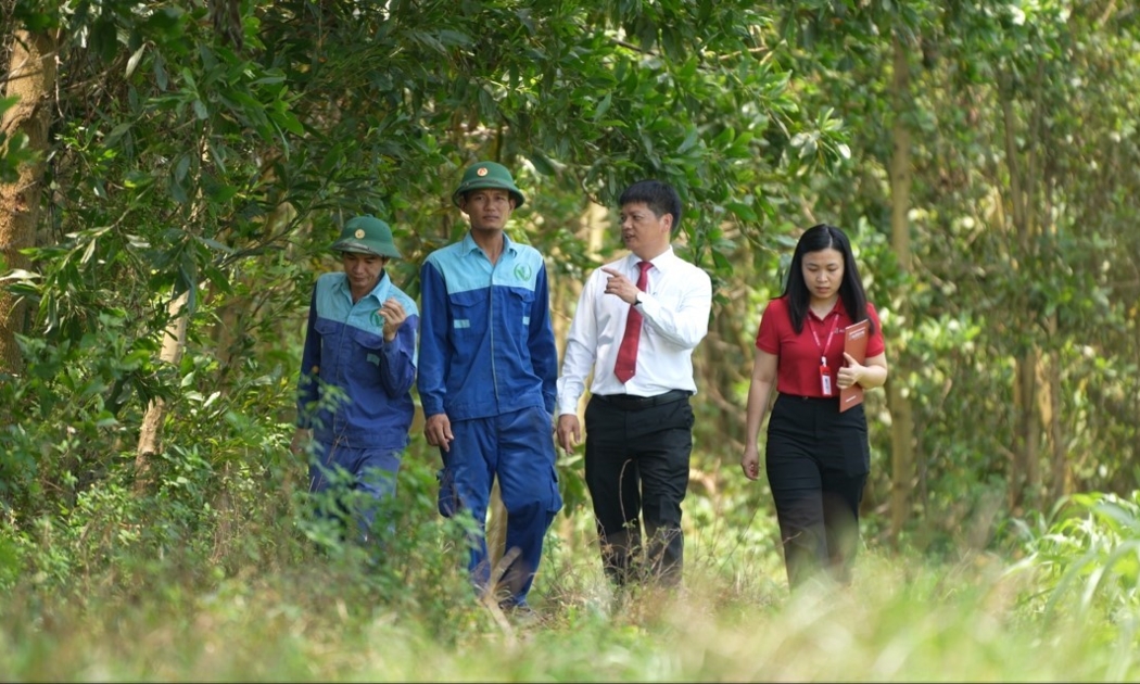 Cán bộ Agribank thẩm định dự án trồng rừng của doanh nghiệp. Ảnh: Agribank.