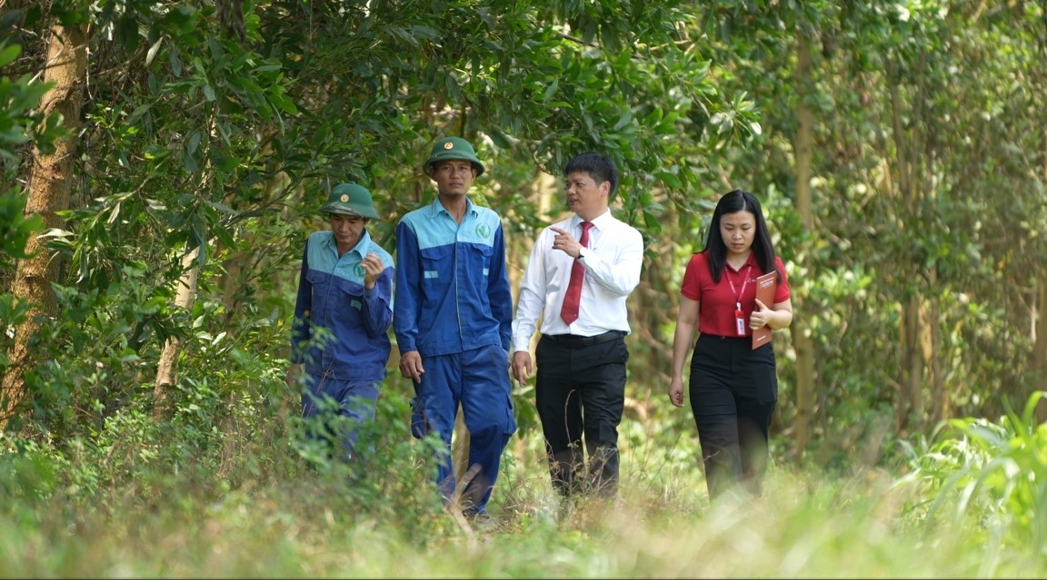 Cán bộ Agribank thẩm định dự án trồng rừng của doanh nghiệp. Ảnh: Agribank.